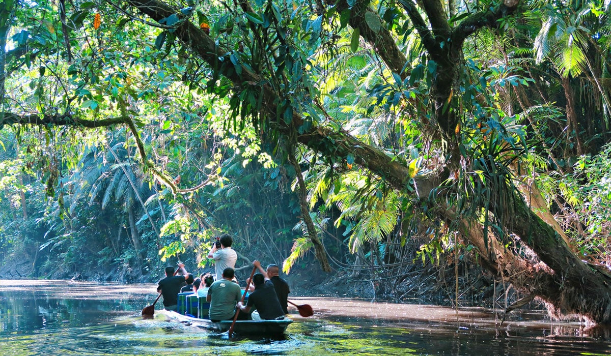 jungle tours from banos ecuador