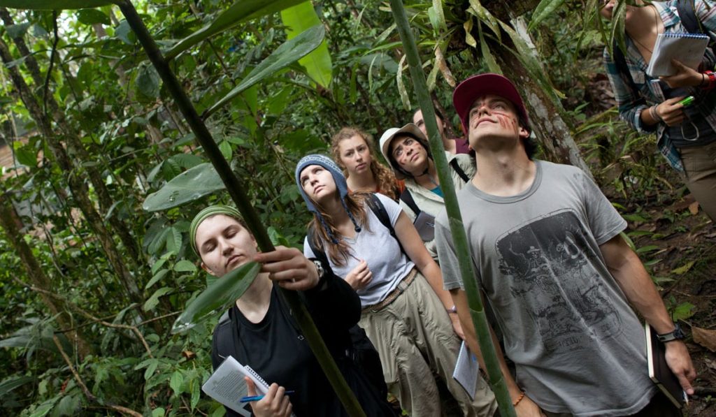 ecuador jungle tours