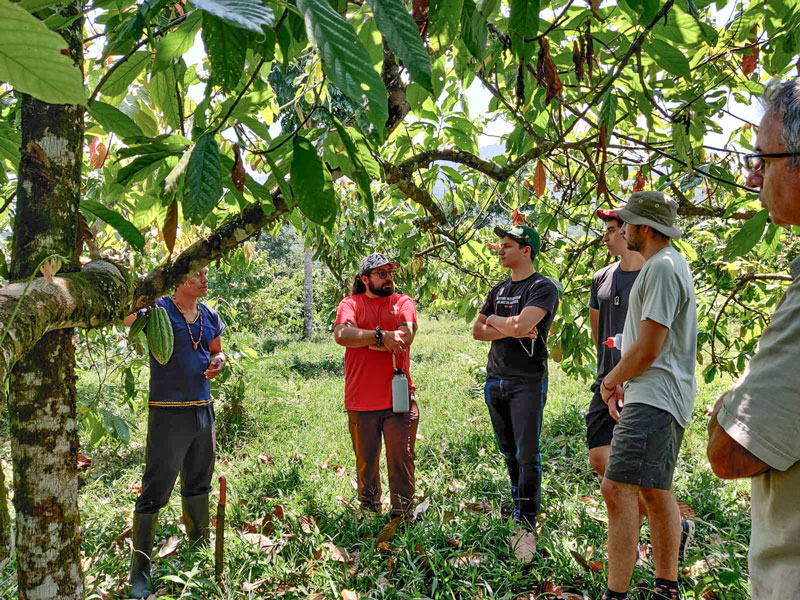 Tours in Ecuador cacao